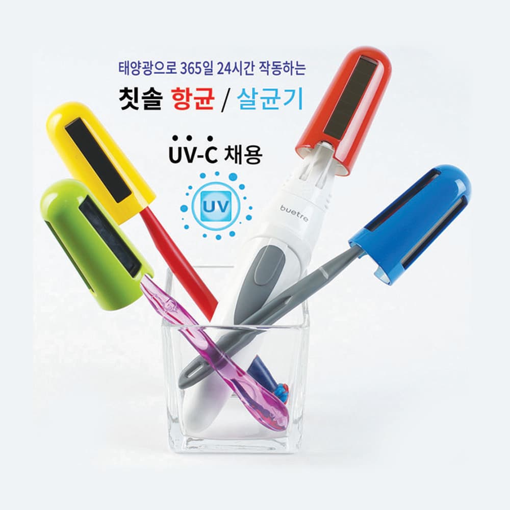 휴대용 칫솔 살균기 태양박 1ea/색상랜덤발송