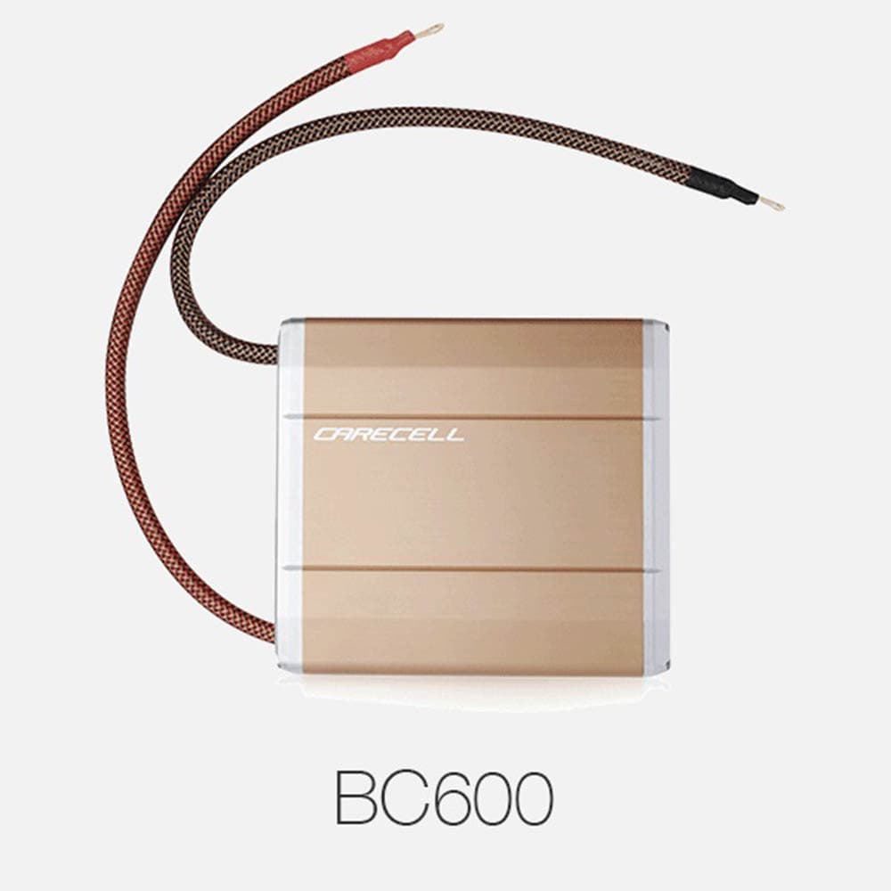 케어셀 보조배터리 BC600