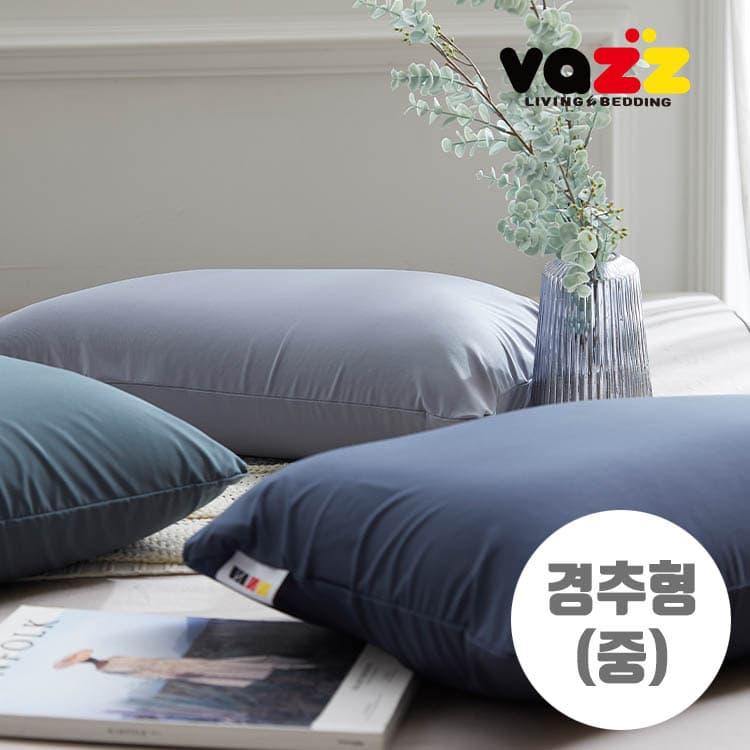 바즈 에어클라우드 스퀘어 경추편안베개(중)[V18]JA-BB04