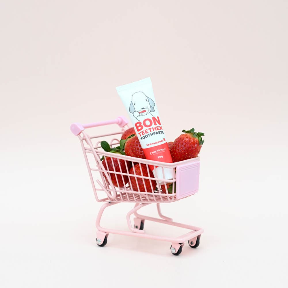 [펫용품]오구펫 퓨리톤 샴푸 300ml