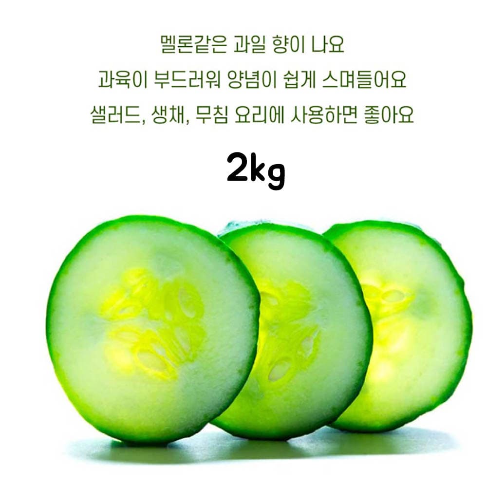 국내산 취청오이 2kg(정품)