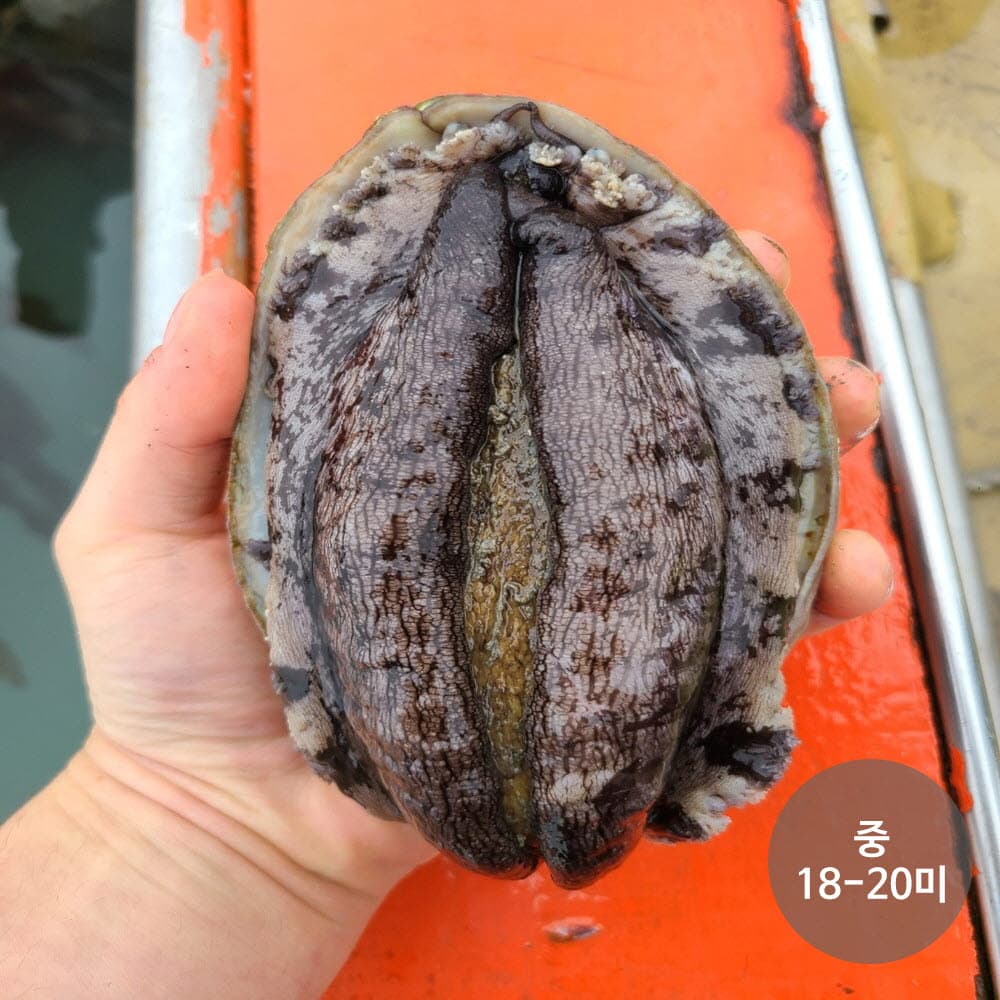 청진수산 직접 잡은 초신선 활전복 1kg(16~18미)