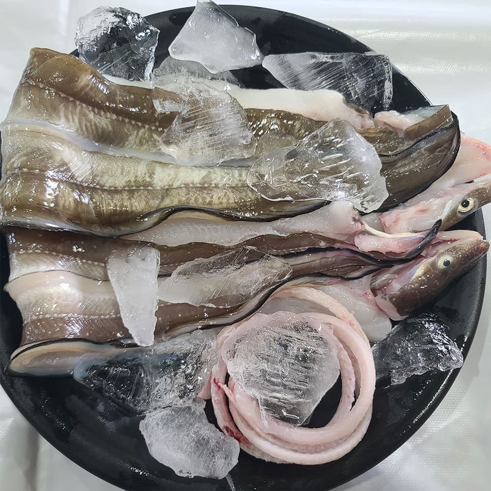 [C12-115] 대한민국 최고의 바다장어 소흑산도 바다장어 1kg(2~3미)
