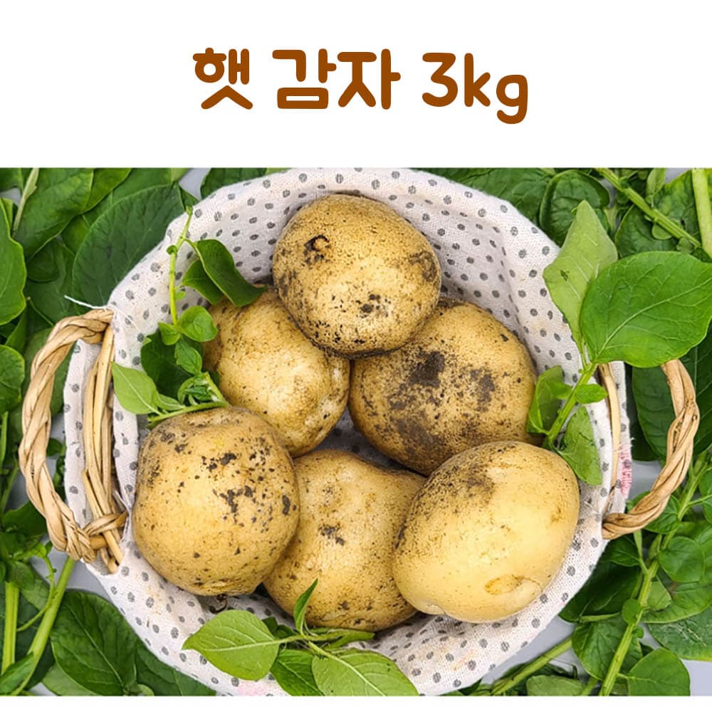 24년산 감자 3kg(중)