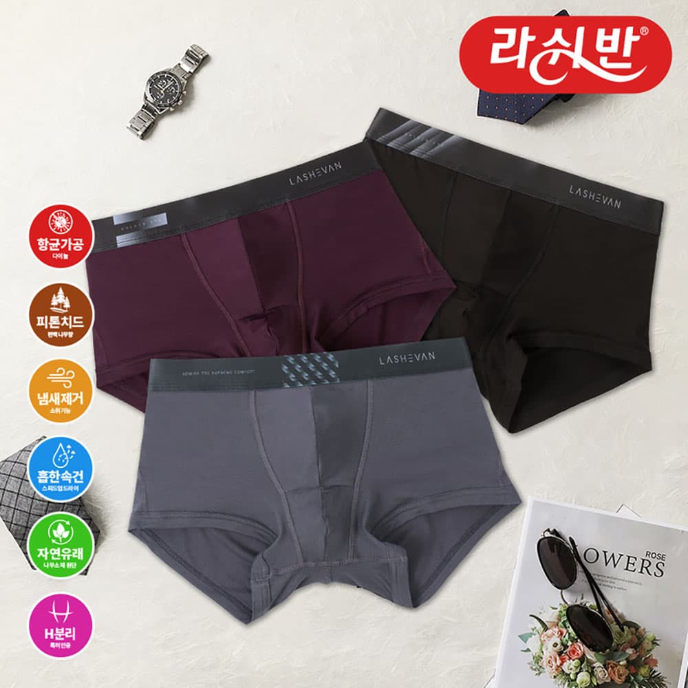 라쉬반 데일리 골든아이 루나3종