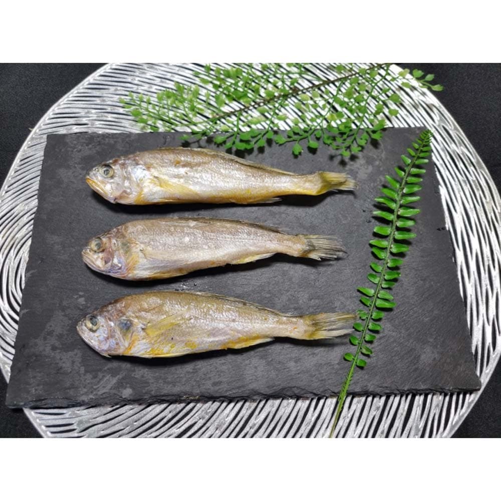 고창 풍천장어 손질 생물 550g±50g 중