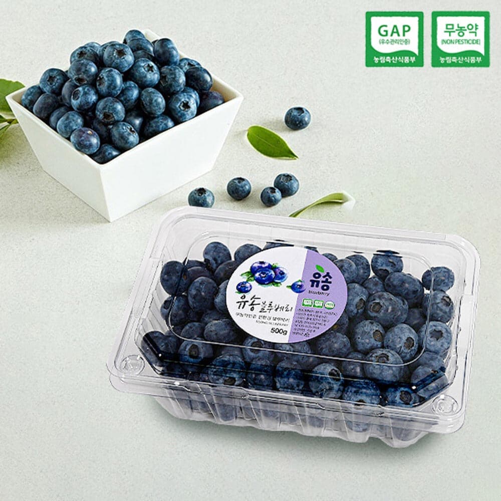[충북청주] 별빛담은 무농약 블루베리(생) 1kg/14~15mm