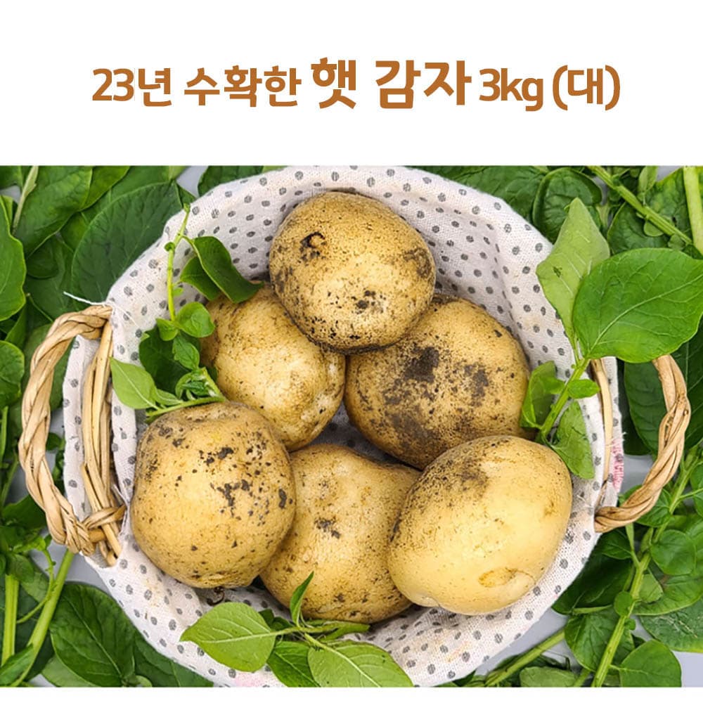 24년산 감자 3kg(대)