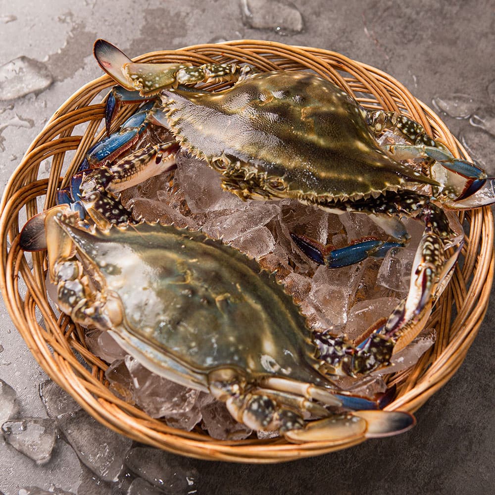 연평도 활꽃게 숫꽃게 중 5kg(15-25 미)