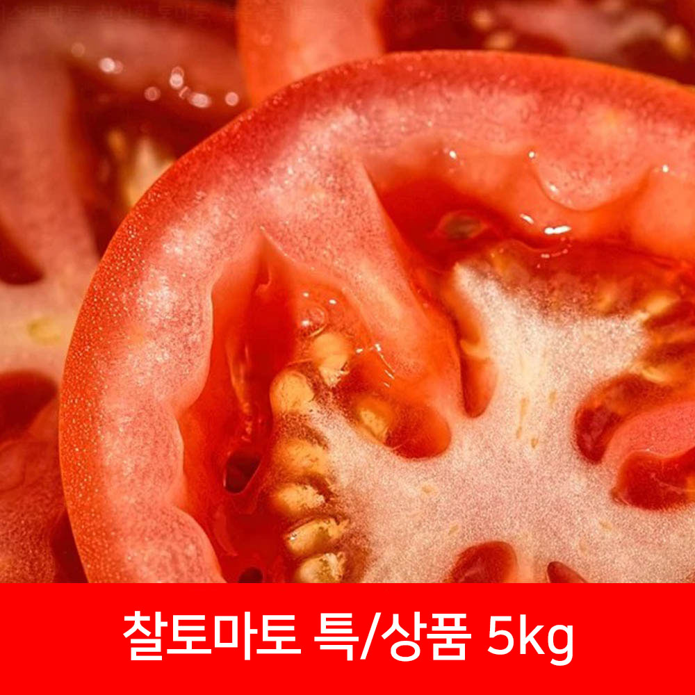 찰토마토 특상품 5kg(개당 평균 120g 이상) 상세이미지