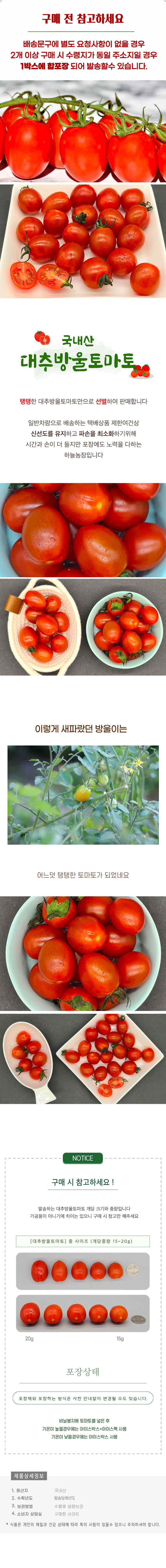 대추방울토마토 1kg(1~2번과) 상세이미지