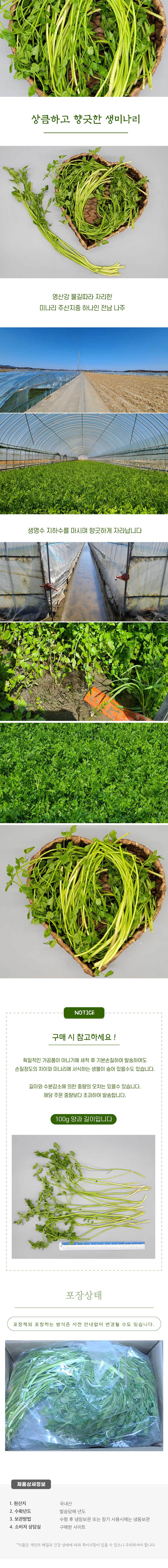 선별발송하는 세척후 손질한 물미나리 2kg(특품) 상세이미지
