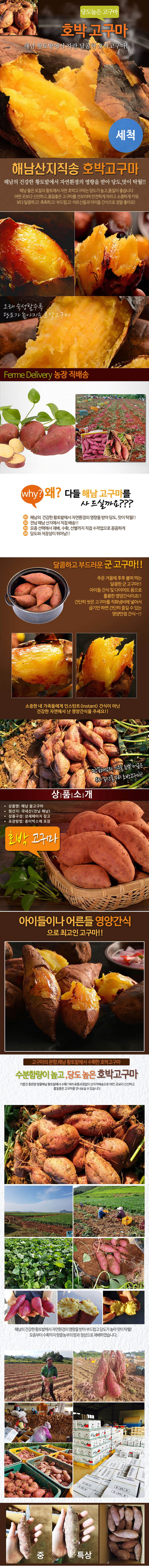 세척 호박고구마 10kg 한입(50g내외) 상세이미지