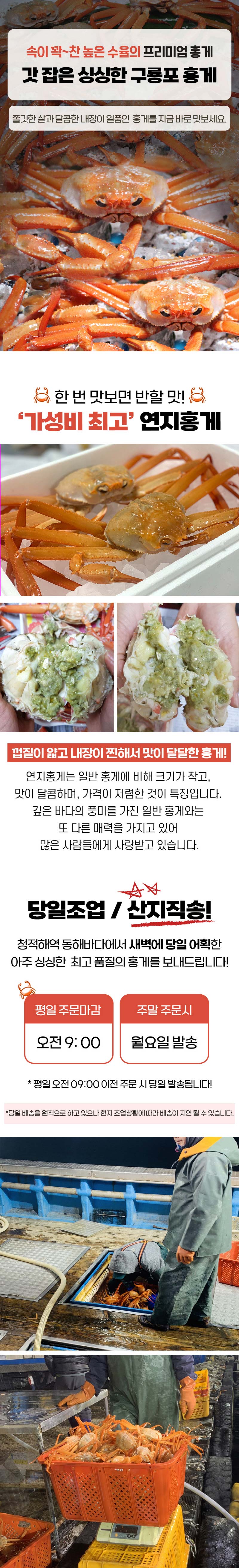 햇땅 연지홍게 자숙 찜 포항 구룡포 정품 4kg 12-18마리 제철 홍게 상세이미지