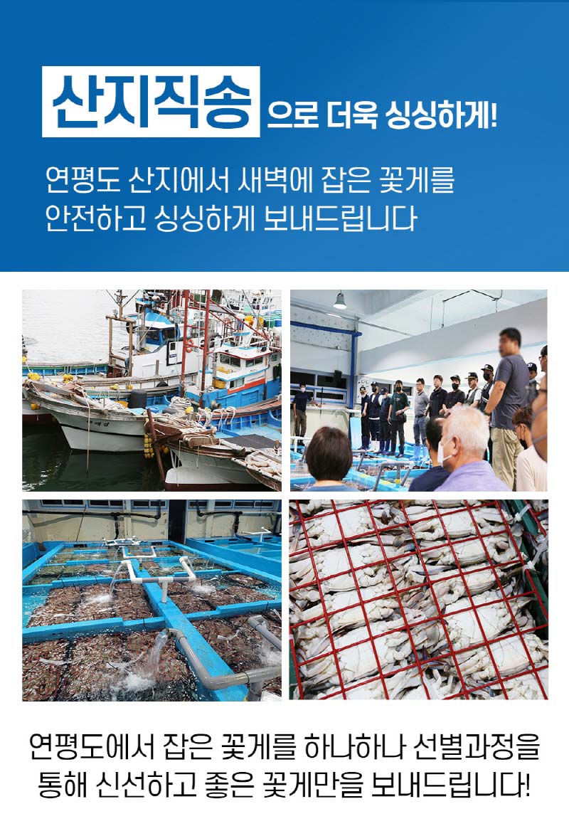 연평도 활꽃게 숫꽃게 중 2kg(6-10 미) 상세이미지